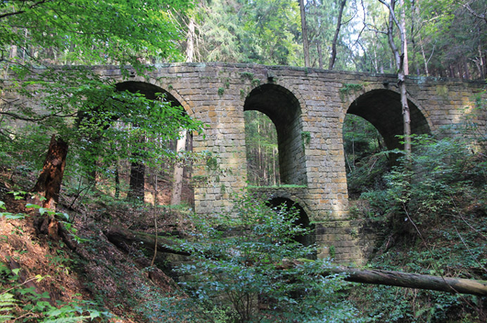 Die Hohe Brücke im Borsbergwald